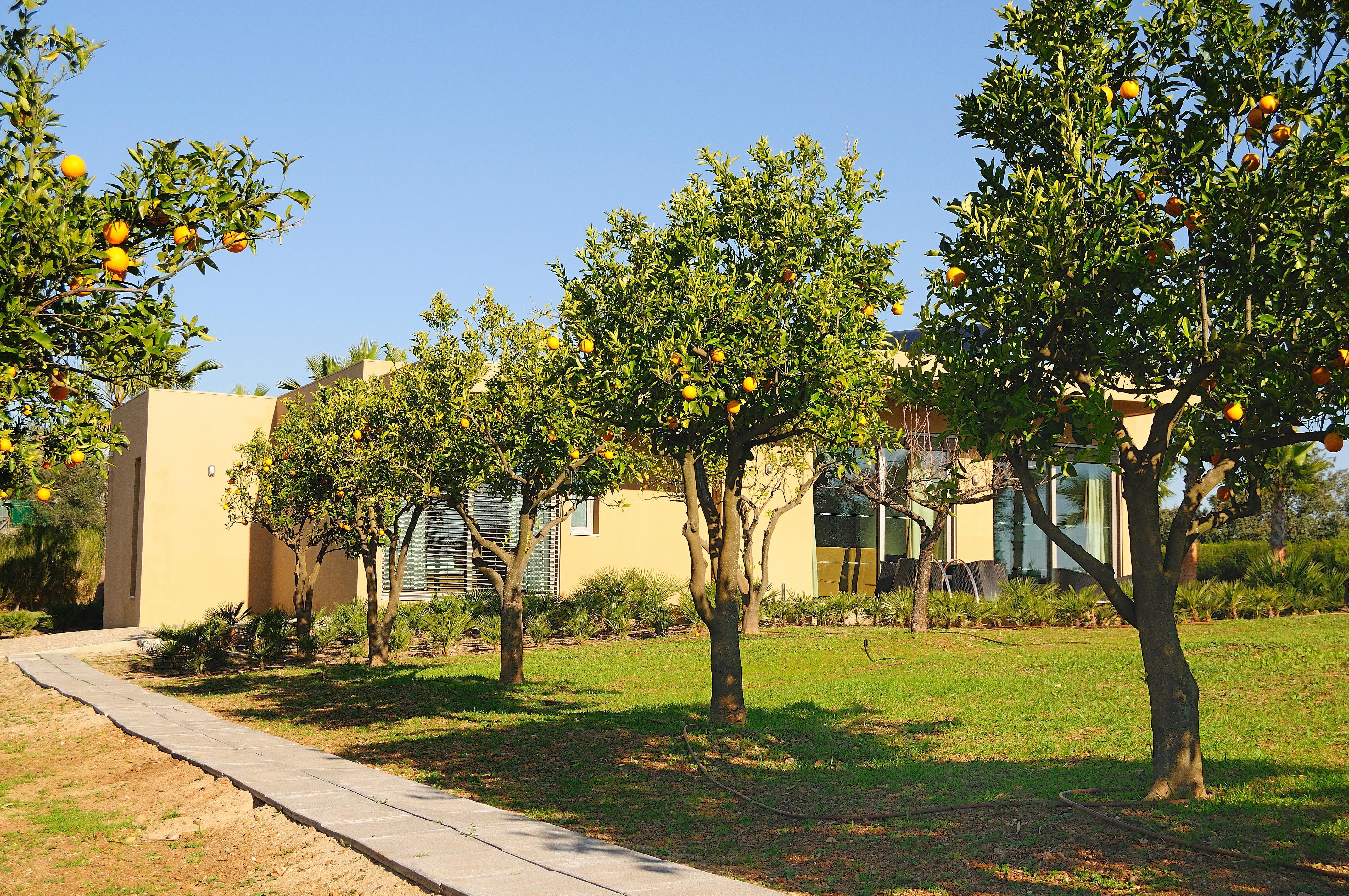 Montargil Monte Novo Hotel Ngoại thất bức ảnh